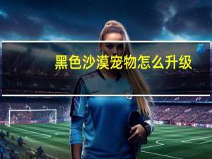 黑色沙漠宠物怎么升级