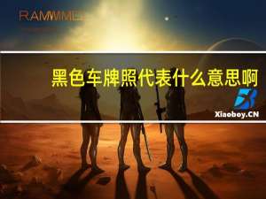 黑色车牌照代表什么意思啊