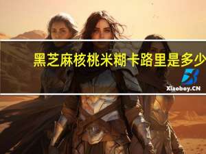 黑芝麻核桃米糊卡路里是多少