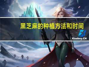 黑芝麻的种植方法和时间