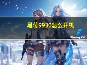 黑莓9930怎么开机（黑莓9930）