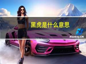 黑虎是什么意思