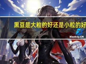 黑豆是大粒的好还是小粒的好