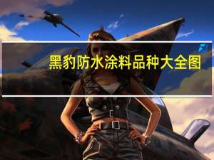 黑豹防水涂料品种大全图（黑豹防水涂料价格）
