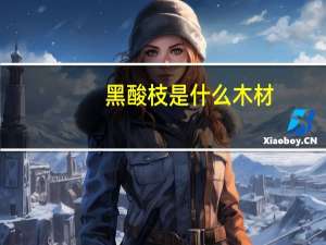 黑酸枝是什么木材