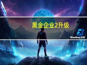 黑金企业2升级（黑金企业2）