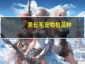 黑长毛宠物狗品种