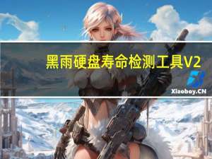 黑雨硬盘寿命检测工具 V2.0 绿色版（黑雨硬盘寿命检测工具 V2.0 绿色版功能简介）