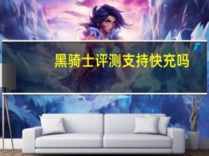 黑骑士评测支持快充吗（黑骑士评测）