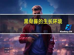 黑骨藤的生长环境