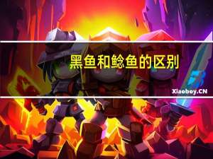 黑鱼和鲶鱼的区别