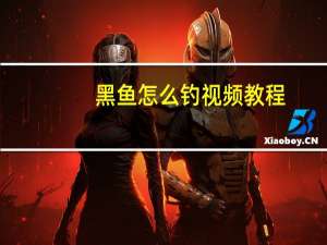 黑鱼怎么钓视频教程（黑鱼怎么钓）