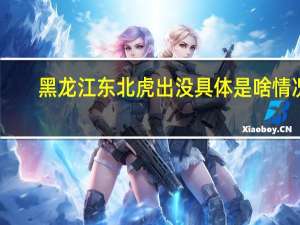 黑龙江东北虎出没 具体是啥情况