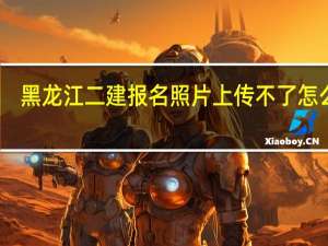 黑龙江二建报名照片上传不了怎么办