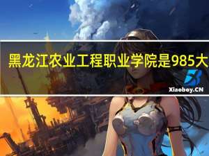 黑龙江农业工程职业学院是985大学吗