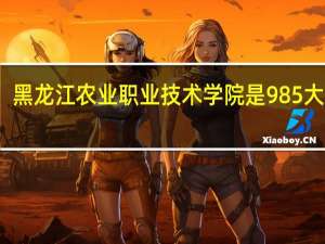 黑龙江农业职业技术学院是985大学吗
