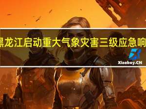 黑龙江启动重大气象灾害（暴雪）三级应急响应命令