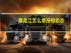 黑龙江怎么查投档状态