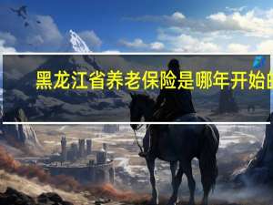 黑龙江省养老保险是哪年开始的