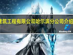 黑龙江省大东建筑工程有限公司哈尔滨分公司介绍 黑龙江建筑工程学校