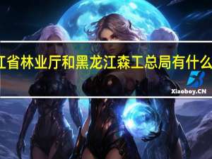 黑龙江省林业厅和黑龙江森工总局有什么区别详细点,谢谢 黑龙江省森工总局