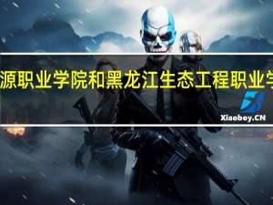 黑龙江能源职业学院和黑龙江生态工程职业学院的专业对比