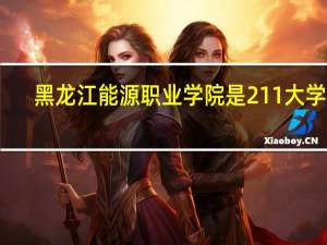 黑龙江能源职业学院是211大学吗
