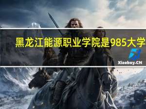 黑龙江能源职业学院是985大学吗