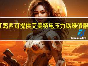黑龙江鸡西可提供艾美特电压力锅维修服务地址在哪
