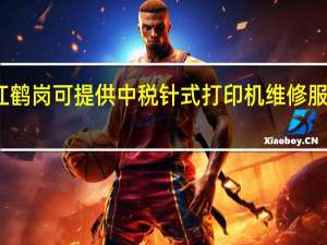 黑龙江鹤岗可提供中税针式打印机维修服务地址在哪