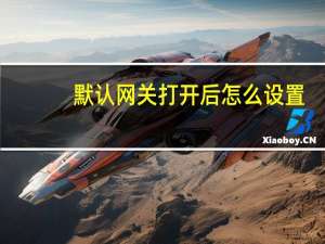 默认网关打开后怎么设置（默认网关怎么设置）