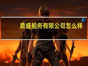 鼎盛船务有限公司怎么样
