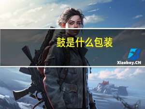 鼓是什么包装