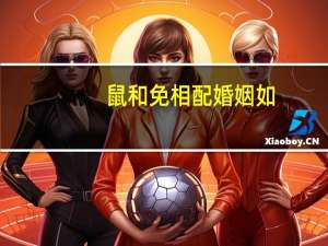 鼠和免相配婚姻如