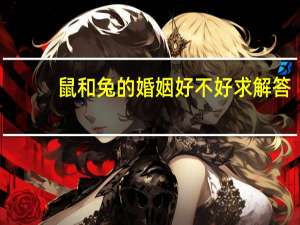 鼠和兔的婚姻好不好求解答