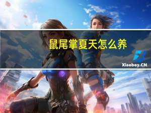 鼠尾掌夏天怎么养