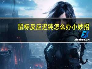 鼠标反应迟钝怎么办小妙招（鼠标反应迟钝怎么办）