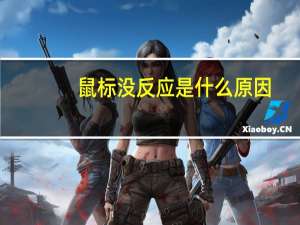 鼠标没反应是什么原因（鼠标没反应）