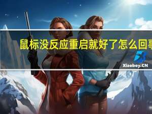 鼠标没反应重启就好了怎么回事（鼠标没反应）