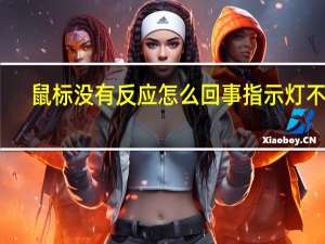 鼠标没有反应怎么回事指示灯不亮（鼠标没有反应是怎么回事）