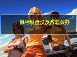鼠标键盘没反应怎么办（为什么鼠标没反应）