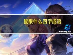 鼠眼什么四字成语
