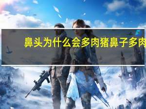 鼻头为什么会多肉 猪鼻子多肉优缺点