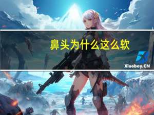 鼻头为什么这么软，软鼻子的什么鸟