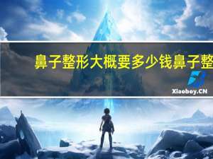 鼻子整形大概要多少钱 鼻子整形需要多少钱