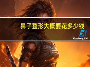 鼻子整形大概要花多少钱(鼻子整形价格一般多少钱)