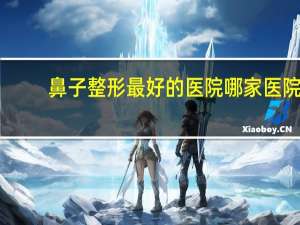 鼻子整形最好的医院 哪家医院整鼻子比较好
