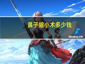 鼻子缩小术多少钱，缩小鼻头手术多少钱