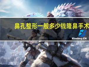 鼻孔整形一般多少钱 隆鼻手术一般多少钱