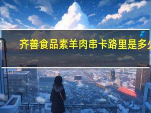 齐善食品 素羊肉串卡路里是多少